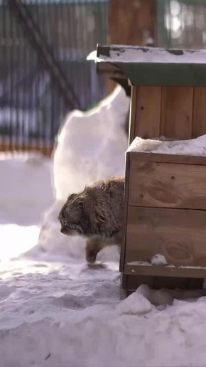 ������ ����, �����������!. ������ ������ ��� �� ���������� ��������� ������, ��� ���� �������� ����� ����� �� ��-������ �������������� ������� @zabrtk | MAX | VK