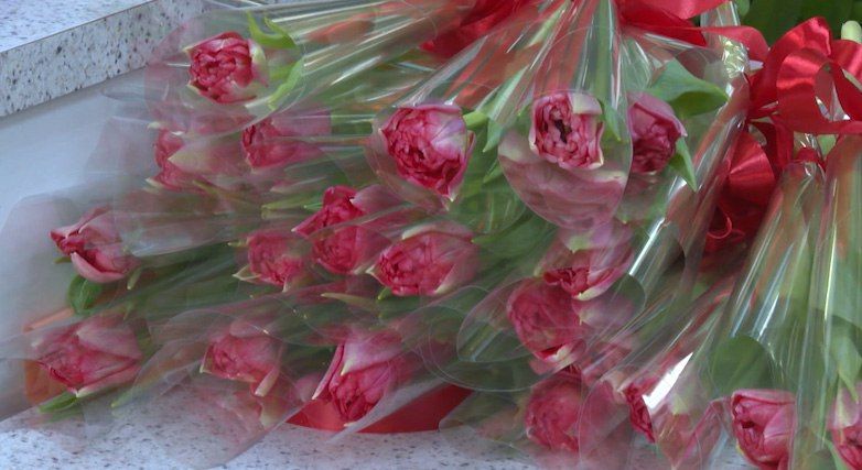 ����� ���������� ����� 8 �����