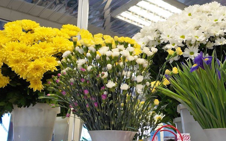 �� ��� �������� �������� ��� ������� ������: ������ ������������