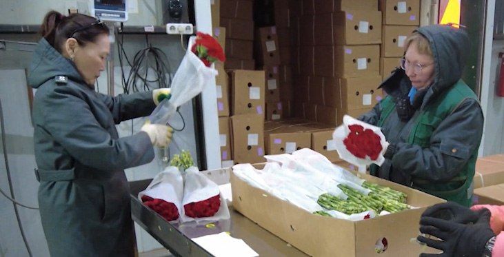 123���������������� ���������� ��������� ����� ����� 8 ����� �� ������� ����������� ����������