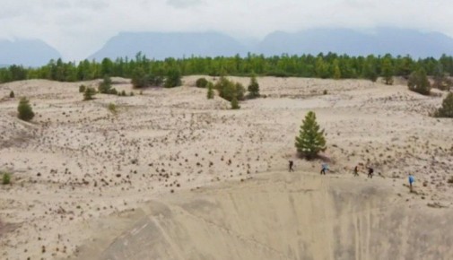 ����� � ���������� ���� ����������� �������� �������� ������ - ����� �����������