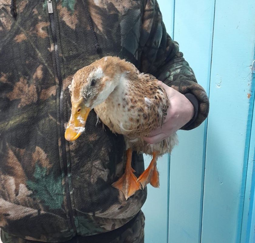 � ������������ ���������� ���������, ��� ������ ����� ������� � ���������� ��������� ����