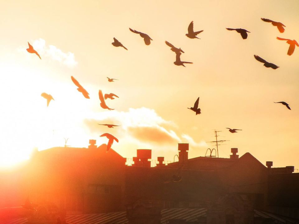 ������ ����, �����������!. ������� ������ ����������� � ��� ���� ��� ����������� �������� ������ ��� ������ ��������� ����: ����� ���������� @zabrtk | MAX | VK