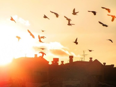 ������ ����, �����������!. ������� ������ ����������� � ��� ���� ��� ����������� �������� ������ ��� ������ ��������� ����: ����� ���������� @zabrtk | MAX | VK