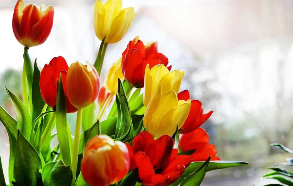 ��� ������ ����� � ���������?