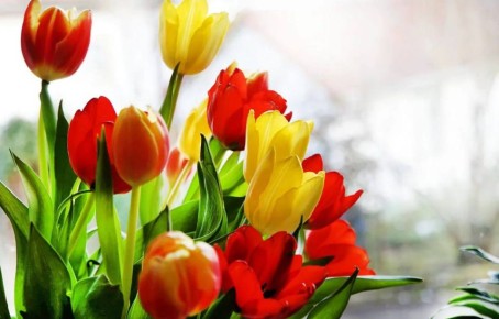 ��� ������ ����� � ���������?