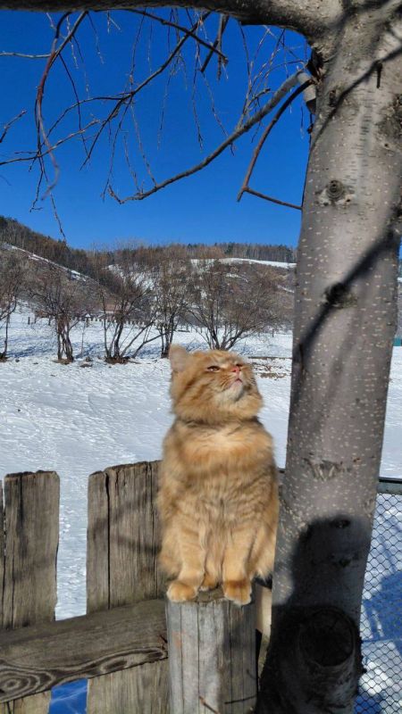 ������ ����, �����������. � ��� � �������, ������ ��� ����������� ���������� ���