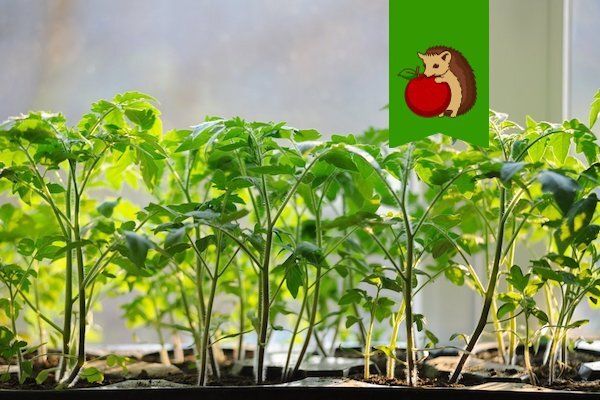 ��������� ���� ������ � ������� ��������� � ����� ������