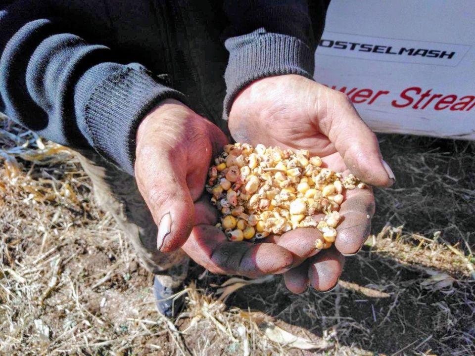 ��������� ���������� � ���� �������� �������� ����� ������������ ������ ������������� ��������