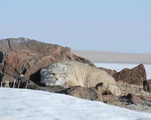 ������ �� ���������� ������ ������� ��������� ���������� ������ ��������� ������