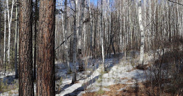 ������ ������ ������� ������������ � ����������� ��������