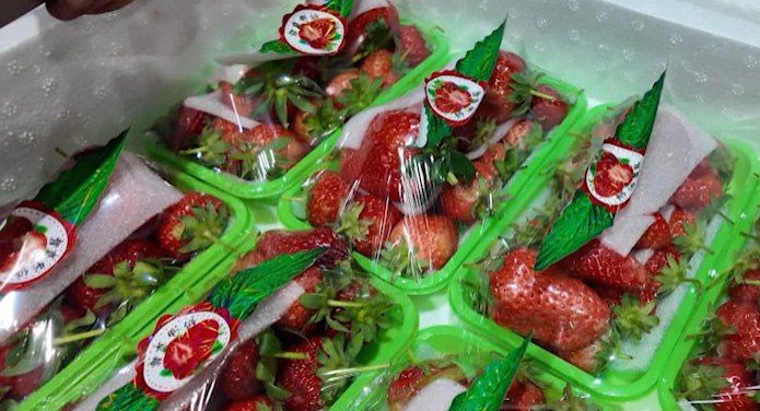 ���������������� �������� ���������� ������� �������� �� �����