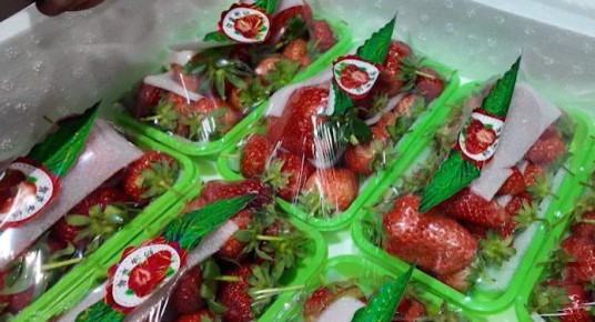 ���������������� �������� ���������� ������� �������� �� �����