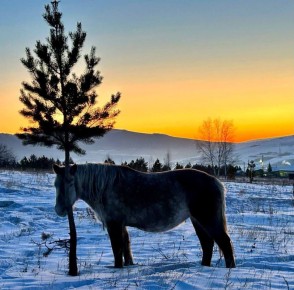 ��������� ����, �����������!