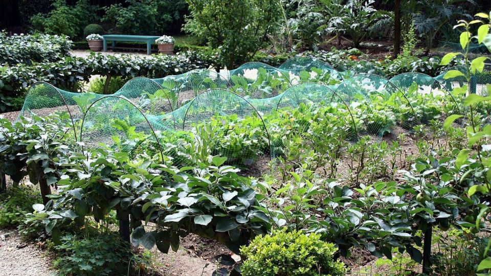 ��� ������� ��������� ������� ��� ����: ������ ��� ���������� �����