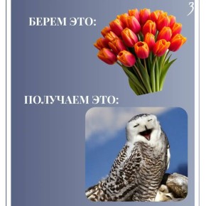 �������, �� ����������� �� ���������!