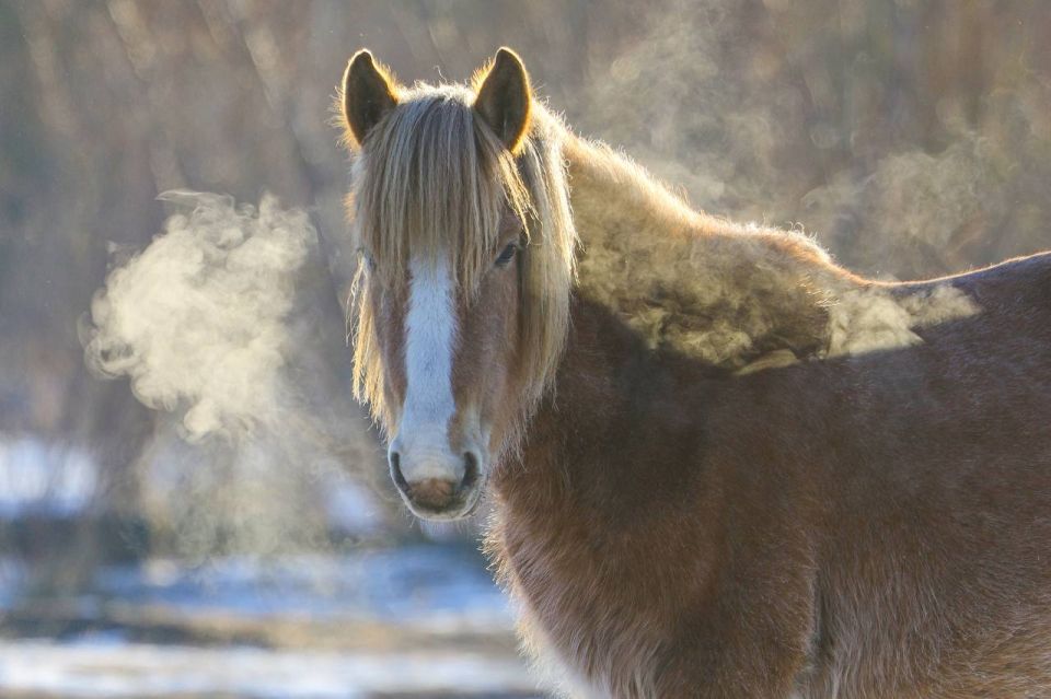 ��������� ����. �� ������� ���, �������� ������ ����: �������� �������� @zabrtk | MAX | VK