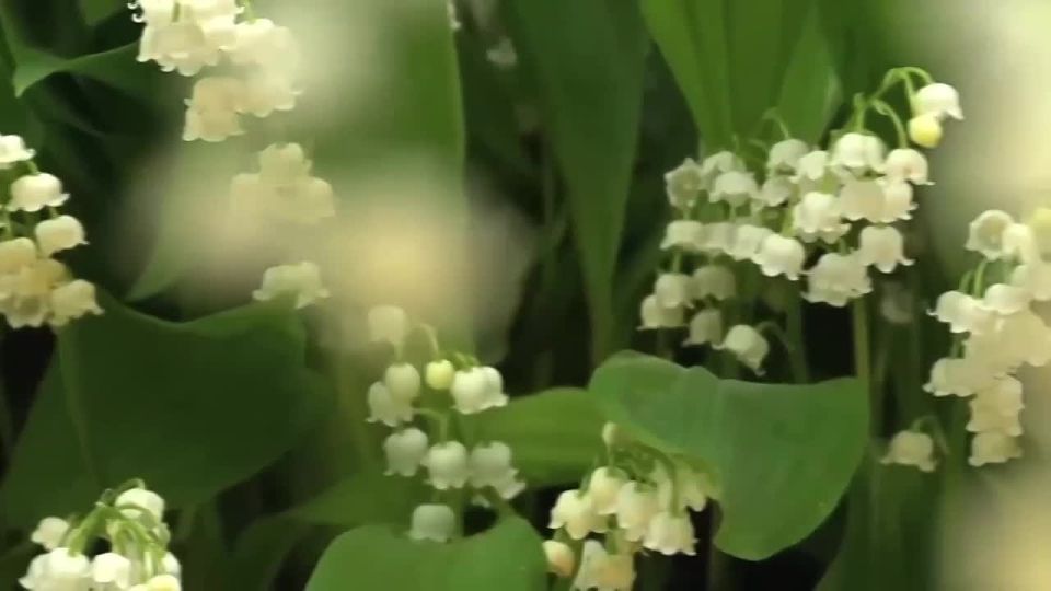 ����������������� �� ���������� ���� �������� �������������� ���� � ������������� ������� ����