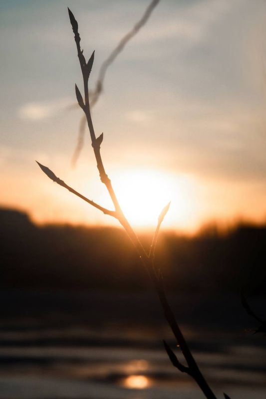 ������ ����, �����������!. ��� �������� ���� ��������? � �������, ������� ��� ������;