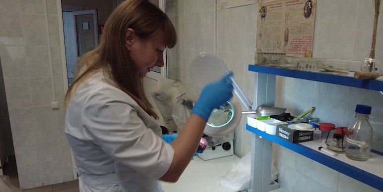 ���������������� ���������� ���������������� ����������� �������� �� �����