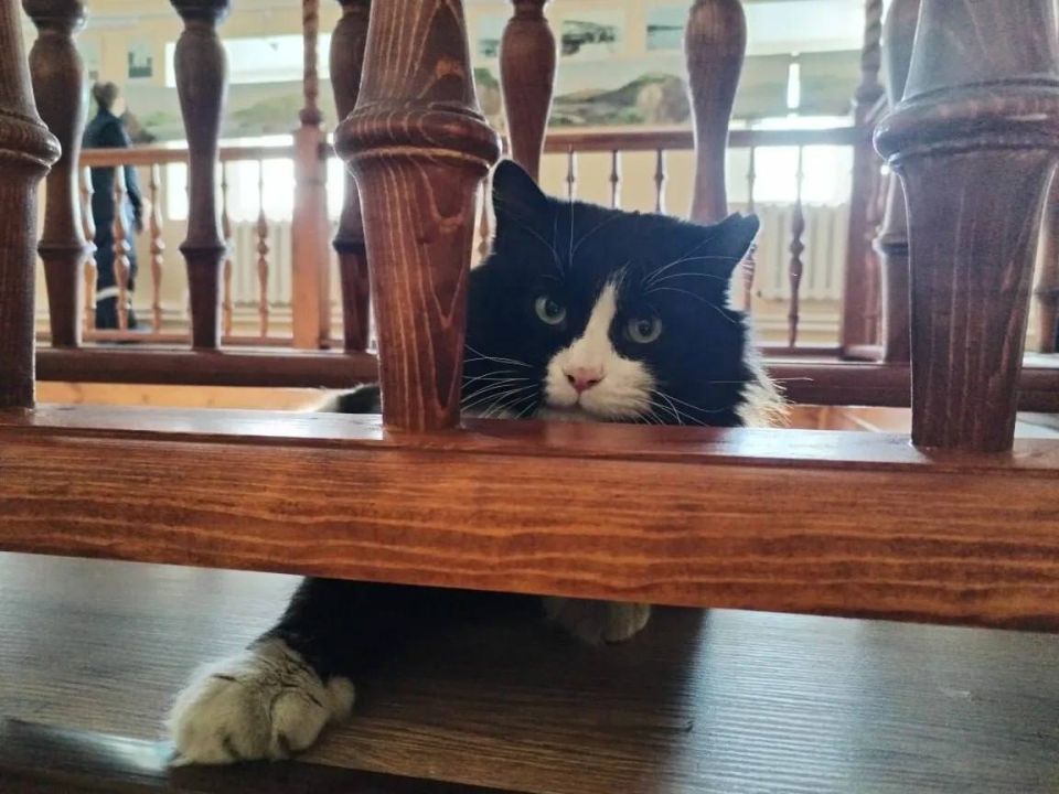 ������ ����, ������ ���������� � ����� ������, ������� 11 ����� � �����