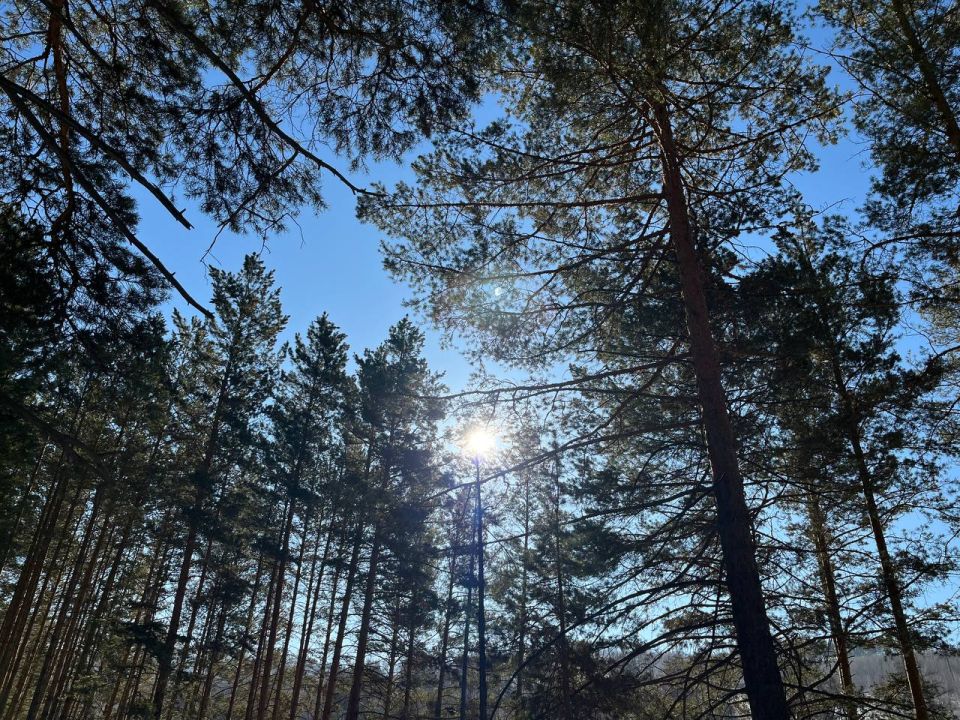 ������ ����, �����������. ����� ���� � ����� ������! ��� ���� ����������? � �������;