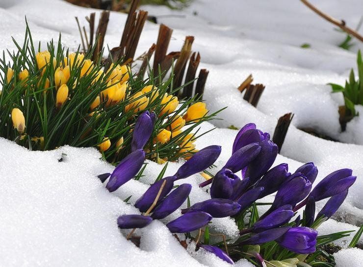 ������ ��������� ��� ���������: ��� ���������� � 1 �� 7 �����