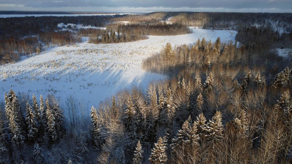 ������������ � ���������� ������ ������������ ������� ��������� � �������