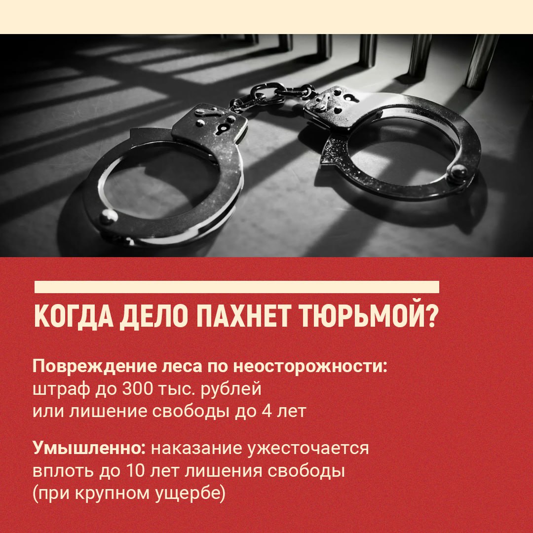 В Забайкалье правоохранители нацелены на строгую уголовно-правовую оценку действий лиц, причастных к возникновение природных пожаров В Забайкалье правоохранители нацелены на строгую уголовно-правовую оценку действий лиц, причастных к возникновение природных пожаров