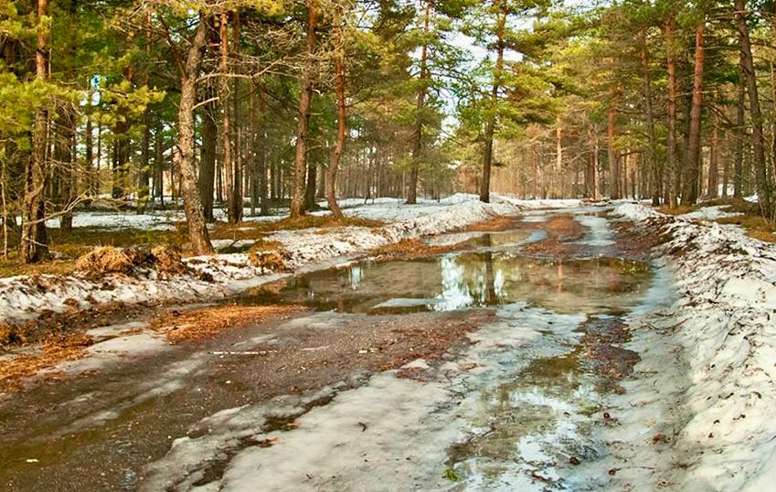 Доброе утро, друзья! Сегодня 12 марта, четверг