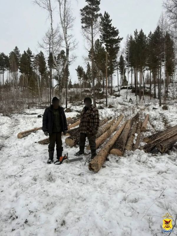 ���������� �����: ����������� � ���� ��������-�������������� ������ � �������� ��������� ������������� � ���������� ����� ����� � ����������