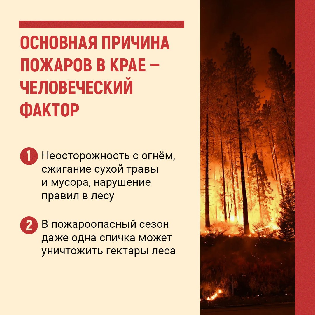 В Забайкалье правоохранители нацелены на строгую уголовно-правовую оценку действий лиц, причастных к возникновение природных пожаров В Забайкалье правоохранители нацелены на строгую уголовно-правовую оценку действий лиц, причастных к возникновение природных пожаров