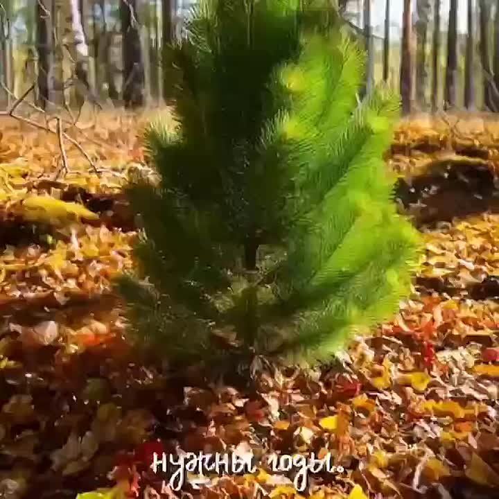 ����� ������ � ����� ���������� ����� ����� � ����� �� ��������� ������