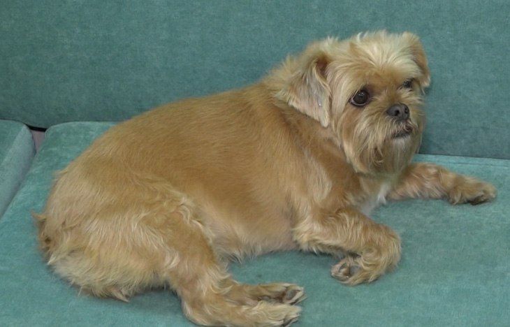 ������������� ��������������� ������������ ��������� ������� ���������� �������� ��������