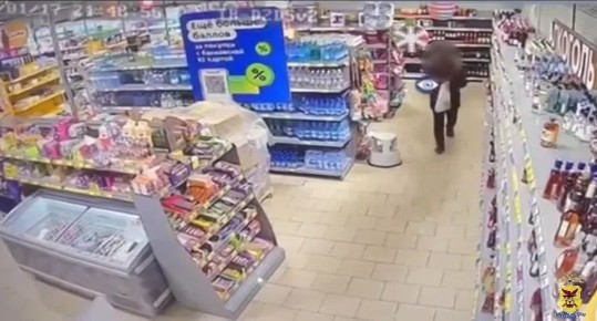 �� 36-������� ������� ��������� ��������� ���� �� ����� �������� �� ��������