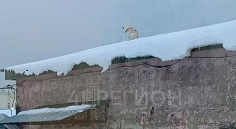 �� �������� �������������� ���� ������, ������� �������� �� ����� ������ �� ������ ��. �������, 25. �������� �� ����� ���������� �������������� � ������� ��� ��������� ����� � �������