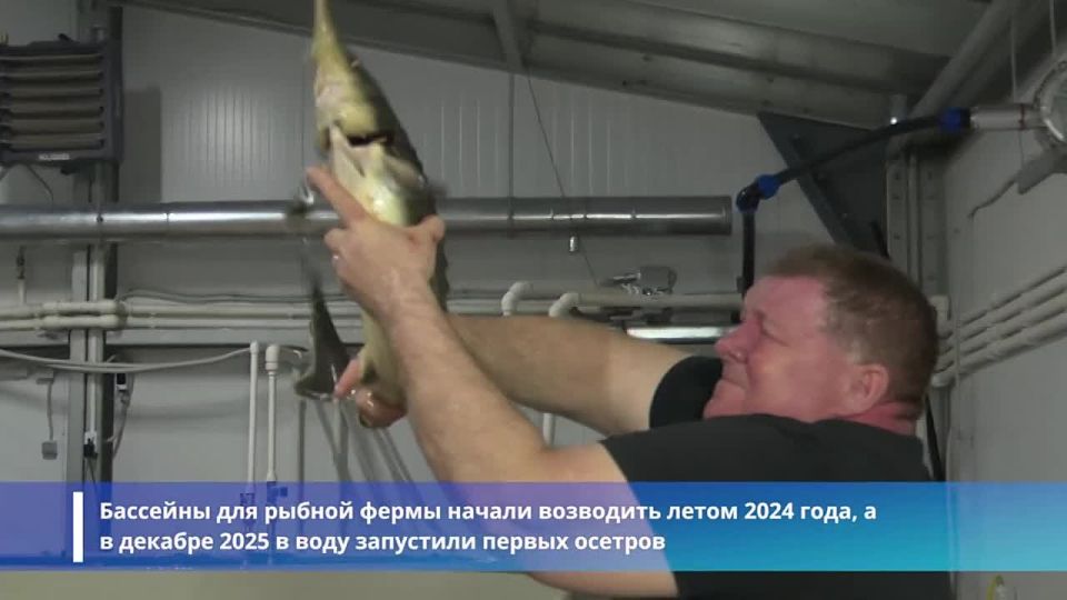 ����������� ���� ��� ��������� � ���� �������� � ����������� ���������� ������������� ��������������� ����������� ���������� ������