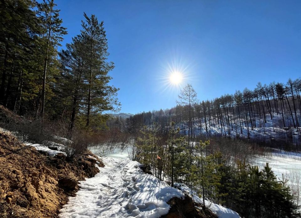 ������ ���������!. ��� ���� ���������� � ����? � �������!