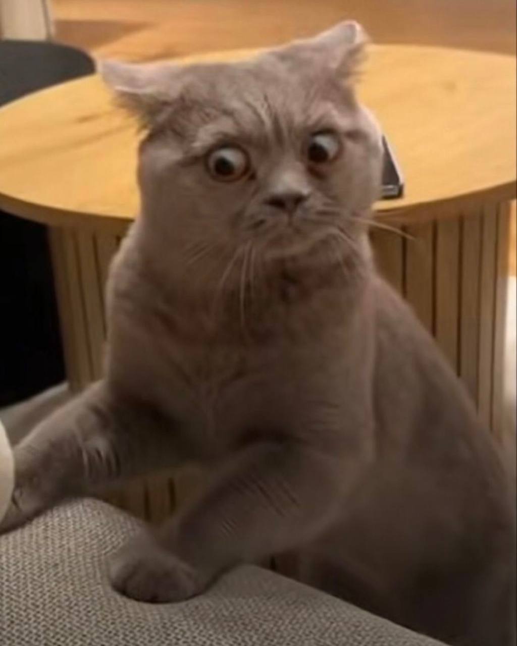 Аварию на сетях водоснабжения по Баранского, 98а устраняют Аварию на сетях водоснабжения по Баранского, 98а устраняют