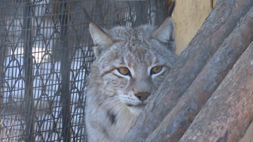 12345��� �������� ���� �������� � ��������� ��������