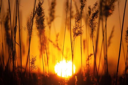 ������ ����, �����������!. ���� ����� ��� �������� �������� �����, �� ����� �� ����� �� ������ ���������� ��� � ���� �������� � ������ ����: ����� ���������� @zabrtk | MAX | VK