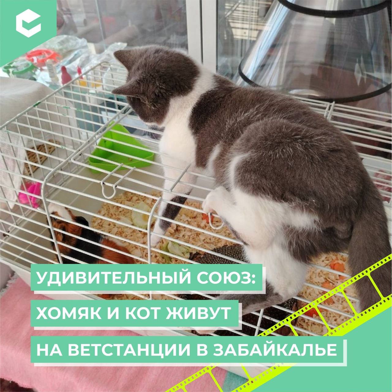 Противоположности притягиваются