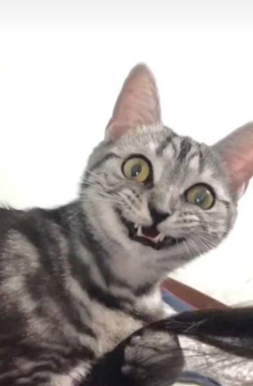 �������� ������� ��������� ��������� ��� ����� ��� ����!