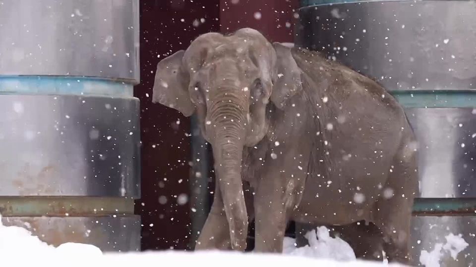 ������ ����������!. ���� ���������� ������� � �� ��������� ���� �������� �� ��������, ����� ����� ������� ���������� ����� �� ��-������ ����������� ������� @zabrtk | MAX | VK