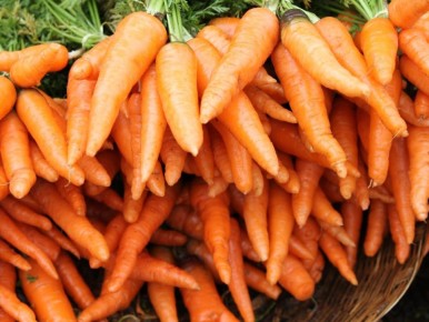 ������� �������: ������������ ������, ������� ��� ������� ������