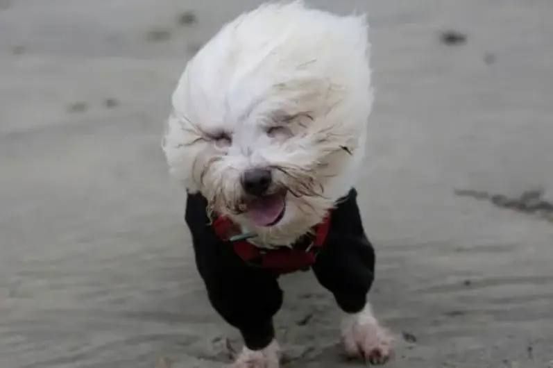 ������,�����! �� ������. ������� �� ���������� ���� ��������� �������� ����� �� 15-20 �/�