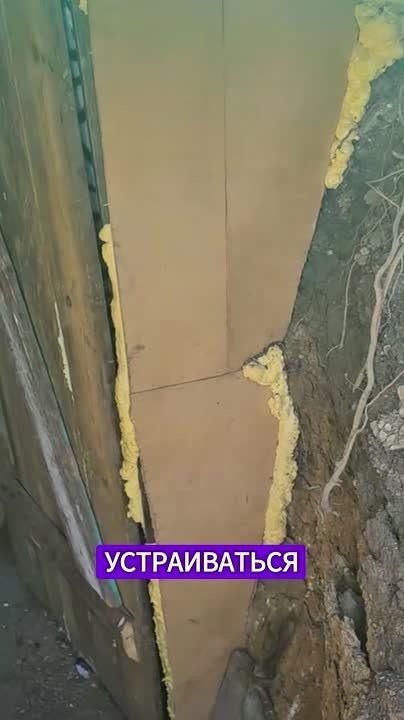 ������������� ����� � ������� ��������!