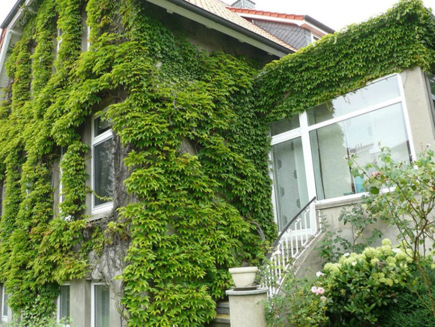 ����������� ������, ������� ����� ��������� ��� ���