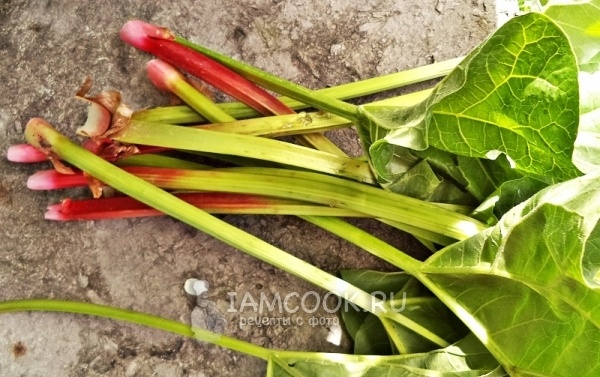 Не упустите момент: готовим нежное печенье с ревенем