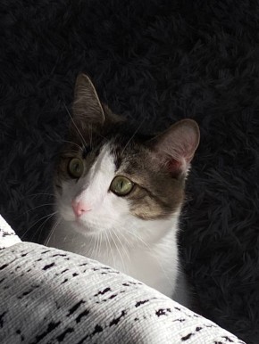 Доброе утро, друзья!. А вы знали, что сегодня отмечается неофициальный позитивный праздник — день «Ты всё делаешь правильно»? Надеемся, что этот маленький намек поднимет ваше настроение и развеет все сомнения